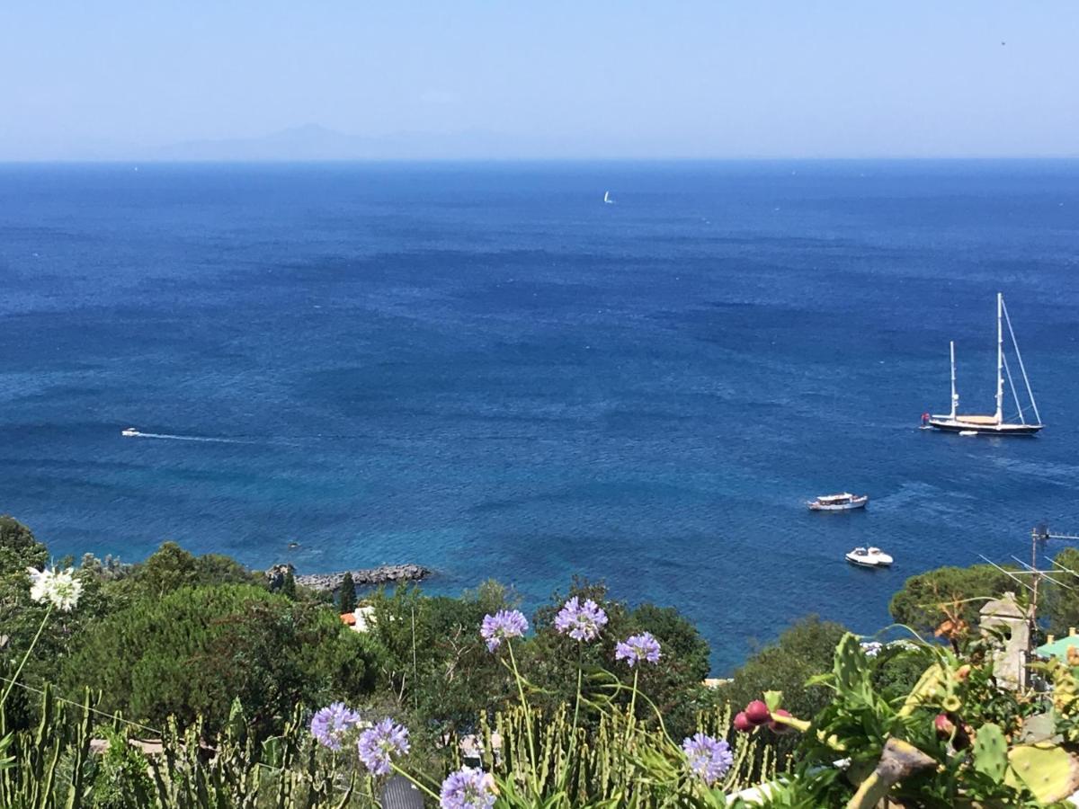 Agapanto Luxury Accommodation Casamicciola Terme Dış mekan fotoğraf