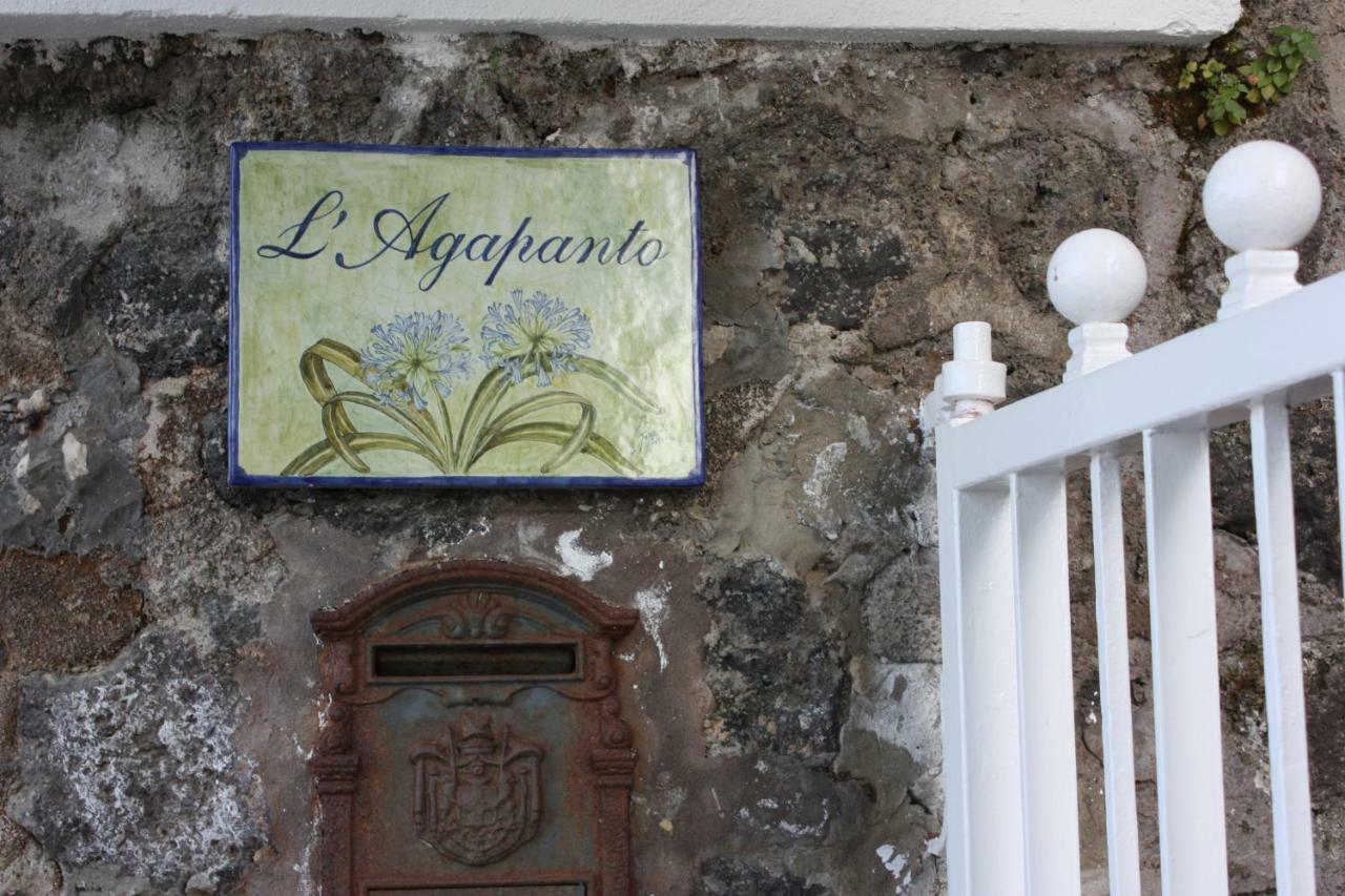 Agapanto Luxury Accommodation Casamicciola Terme Dış mekan fotoğraf