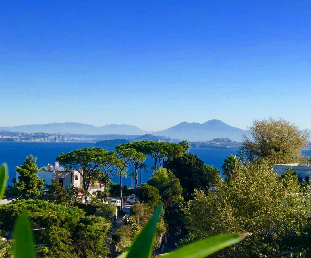 Agapanto Luxury Accommodation Casamicciola Terme Dış mekan fotoğraf