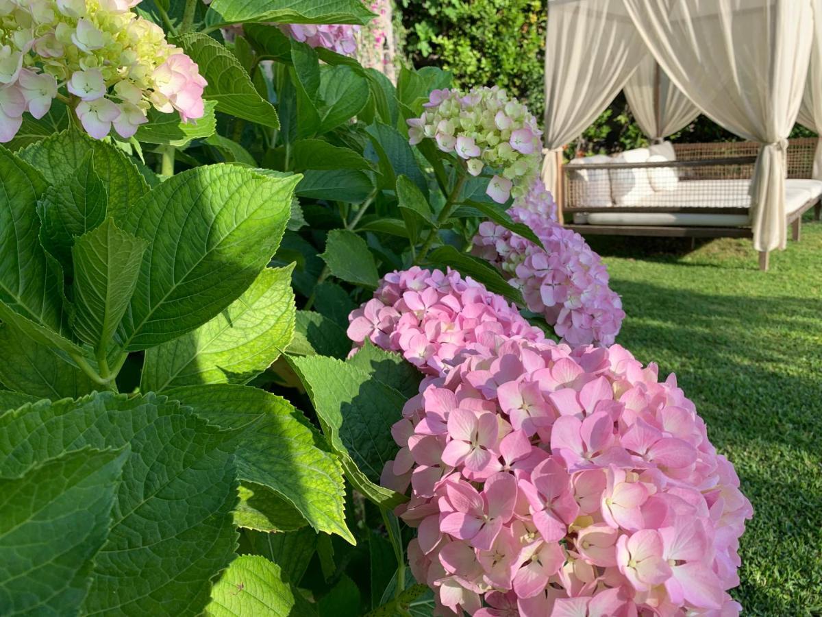 Agapanto Luxury Accommodation Casamicciola Terme Dış mekan fotoğraf